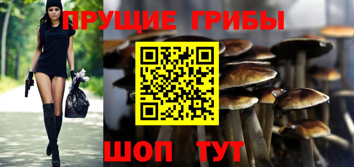 Лосино-Петровский  купить   Вход с VPN  Псилоцибиновые грибы GOLDEN TEACHER 